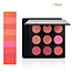 9 Color Blusher