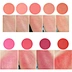 9 Color Blusher Make Your Own Brand